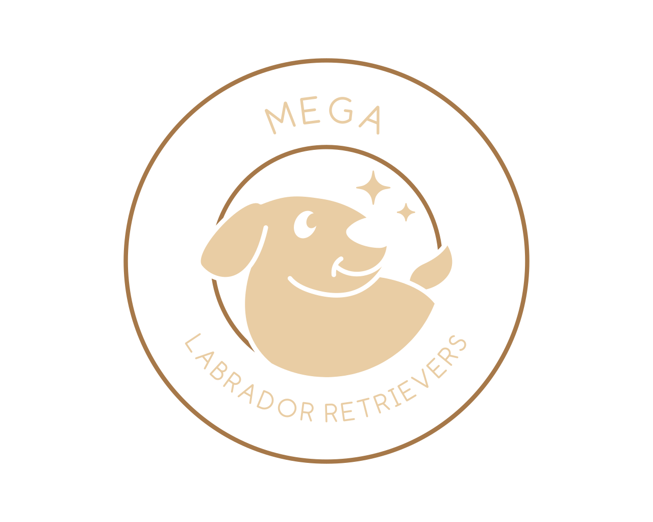 mega labrador retrievers